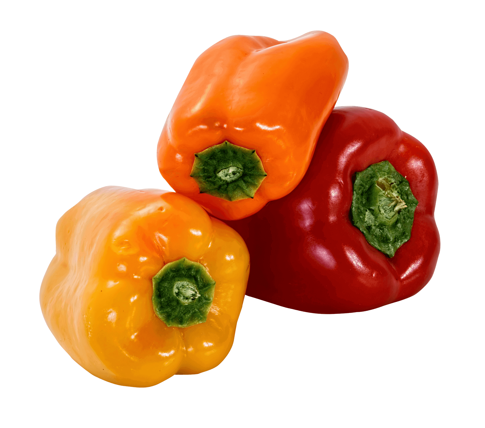 Piment habanero fruit