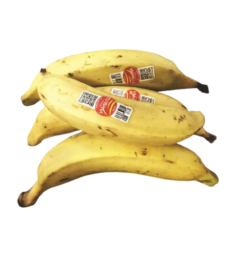 Banane plantain fruit